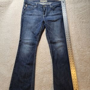 Big Star Women's Hazel Curvy Fit size 33R